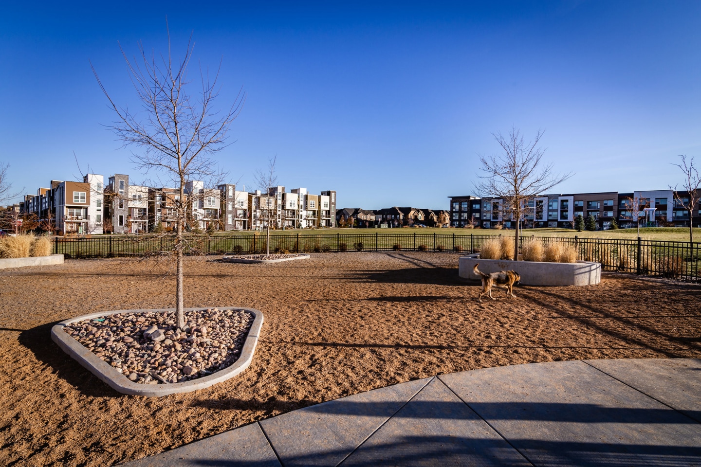 AMLI Littleton Village Image 39