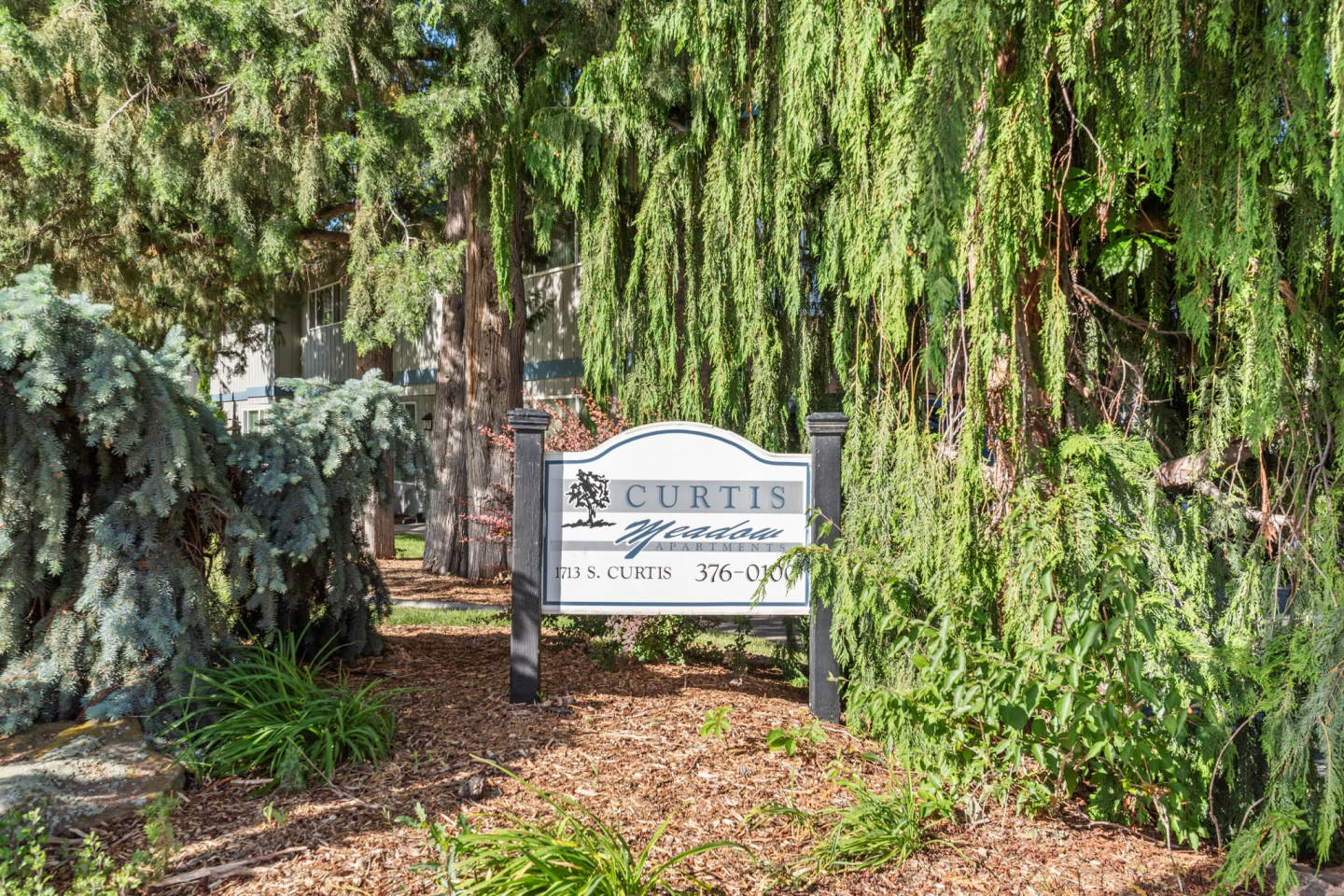 Curtis Meadow Image 7
