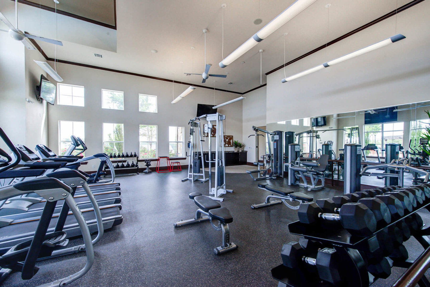 Callista Hill Country Apartments Image 18