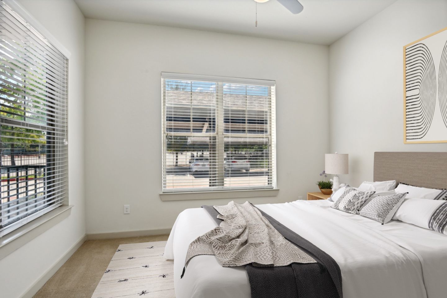 Firewheel Town Village 55+ Community Image 9