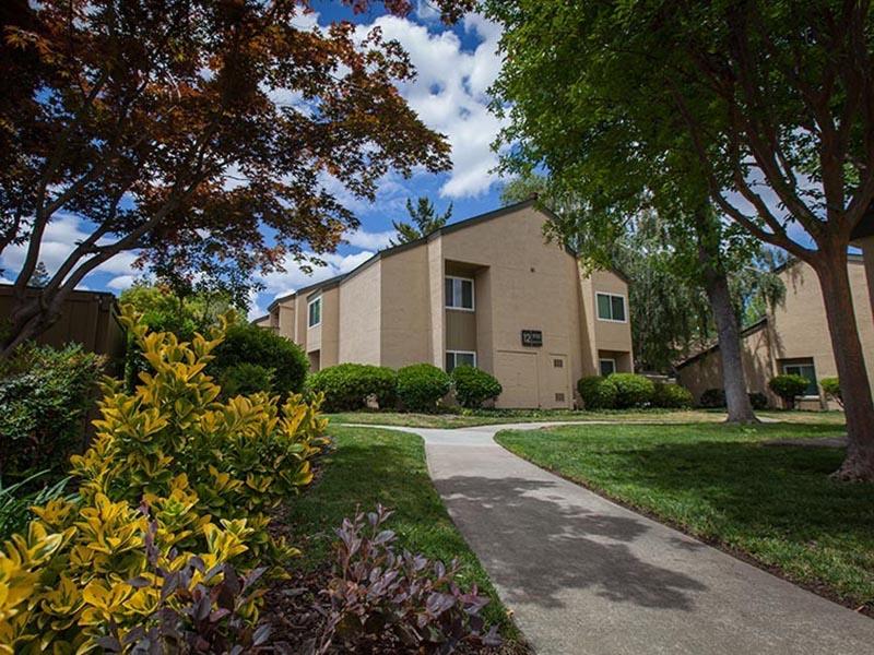 Juniper Apartments Image 17