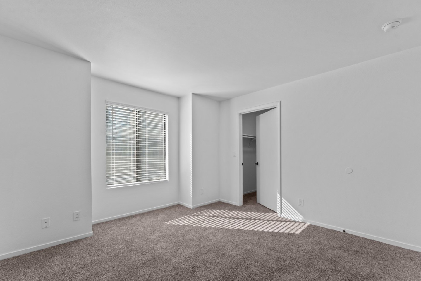Sagecliff Apartments Image 11