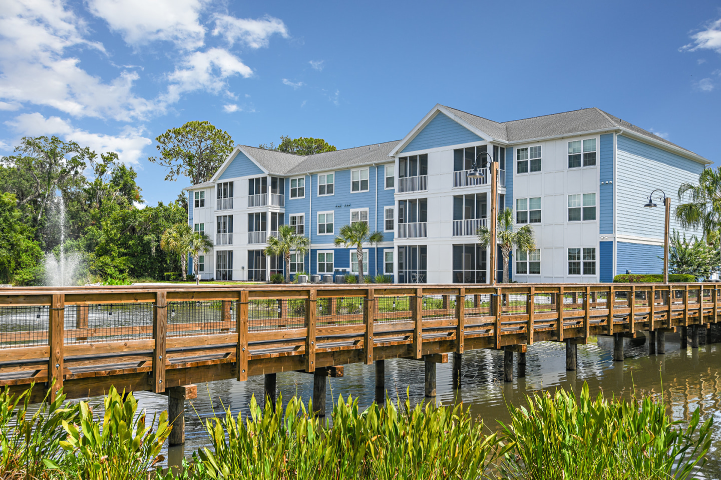 Blue Heron Living Image 8