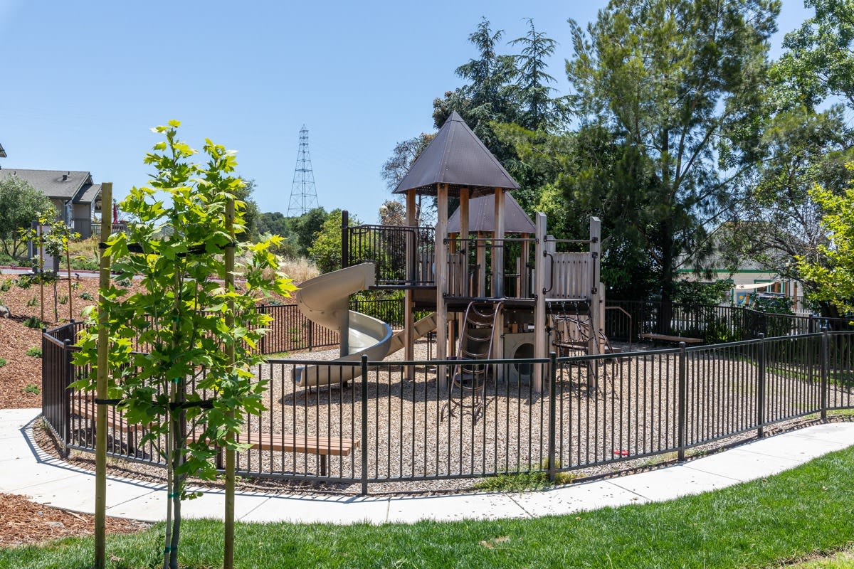 Serenity at Larkspur - Affordable Housing Image 17