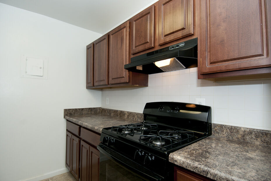 Fox Rest Image 63