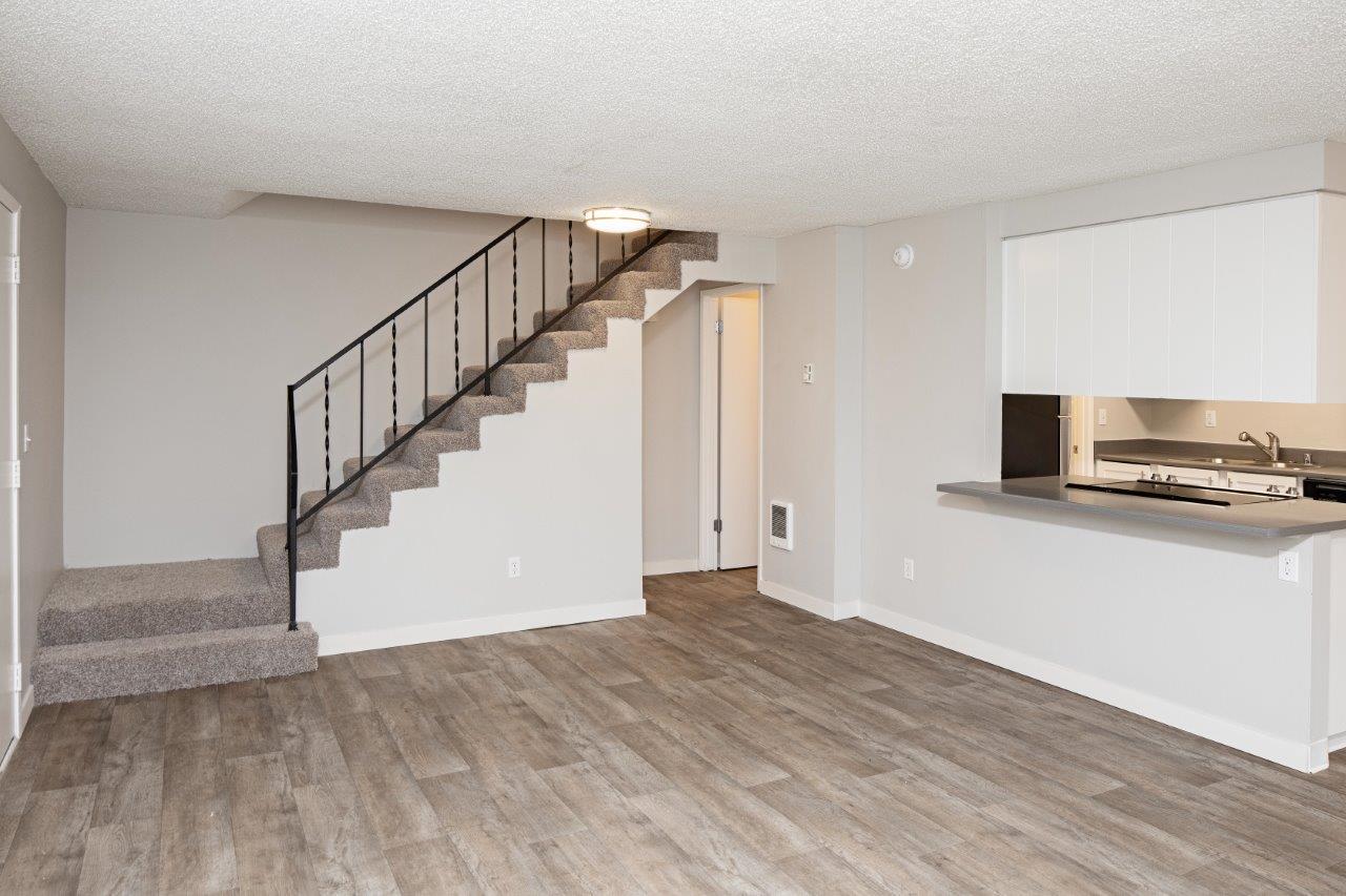 Somerset Terrace Image 4