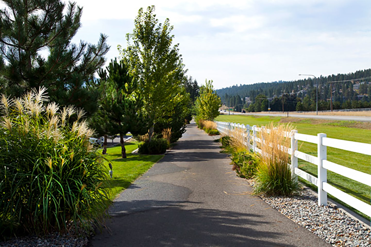Pine Valley Ranch Image 23