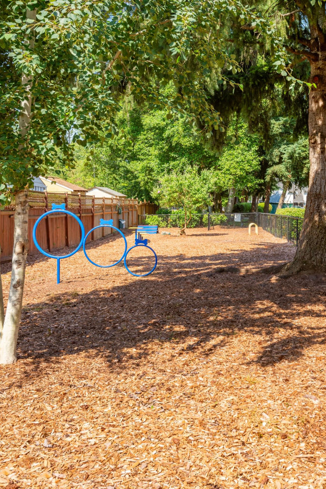 Cobble Court Image 11