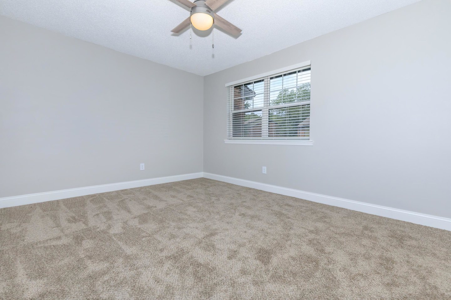 Brighton Valley Image 26