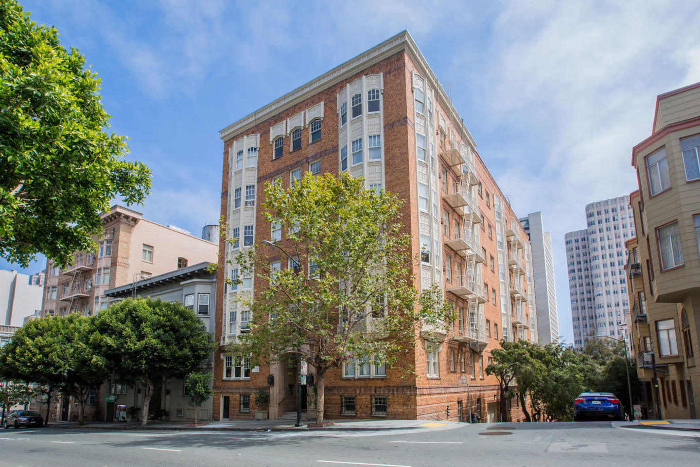 737 PINE Image 12