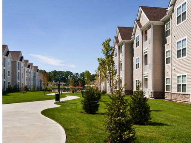 Laurel Green Image 4