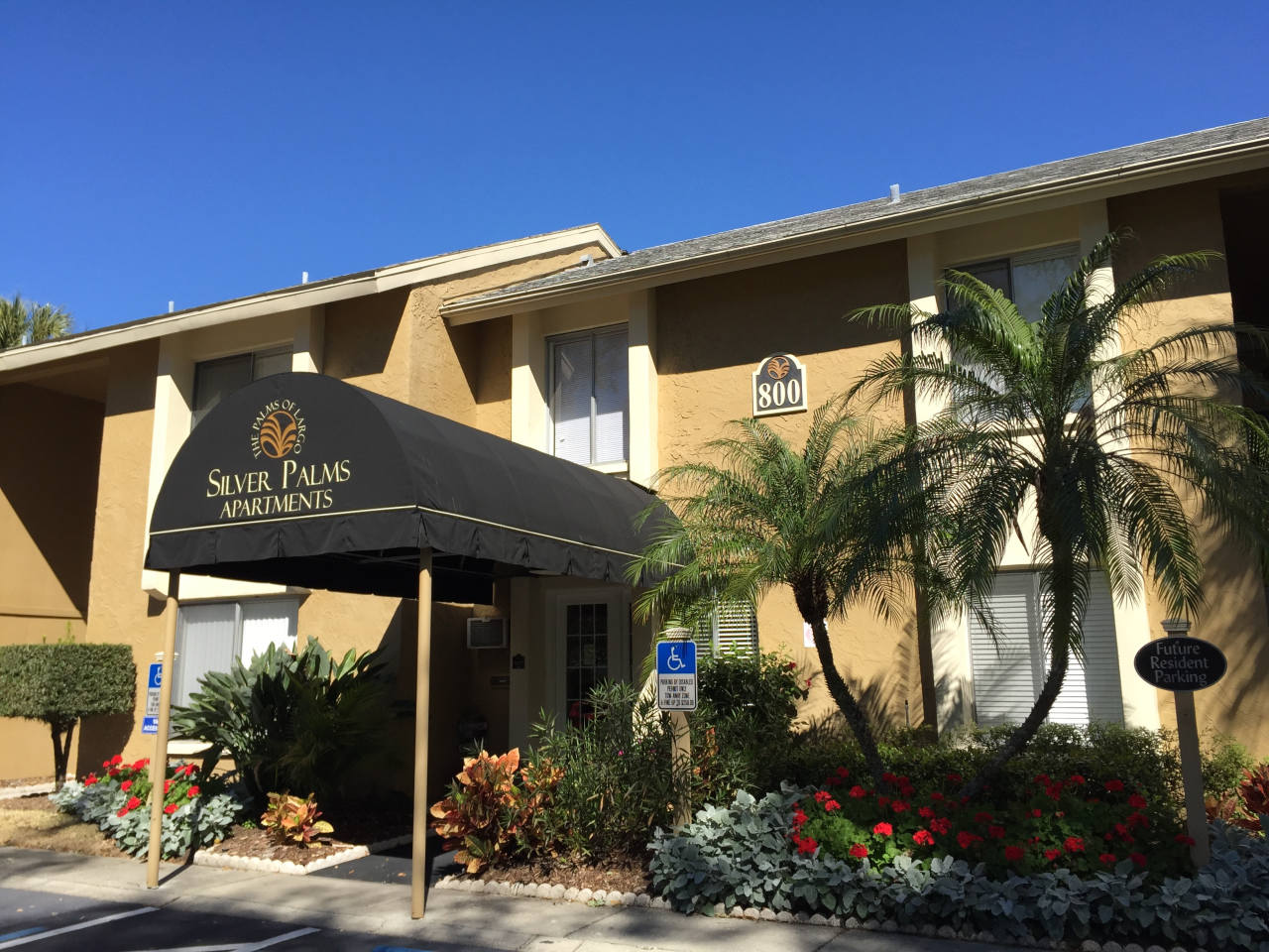 Silver Palms Image 18