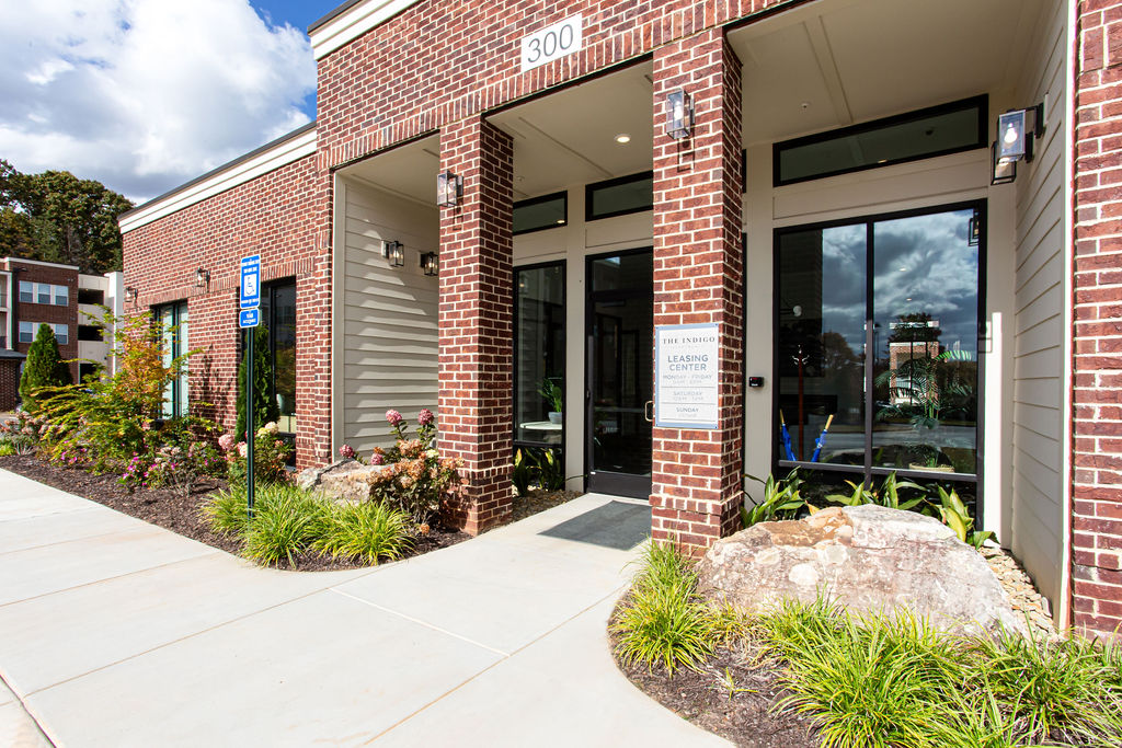 The Indigo Image 22