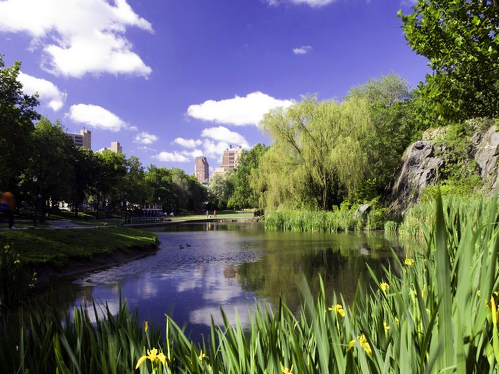 Avalon Morningside Park Image 43