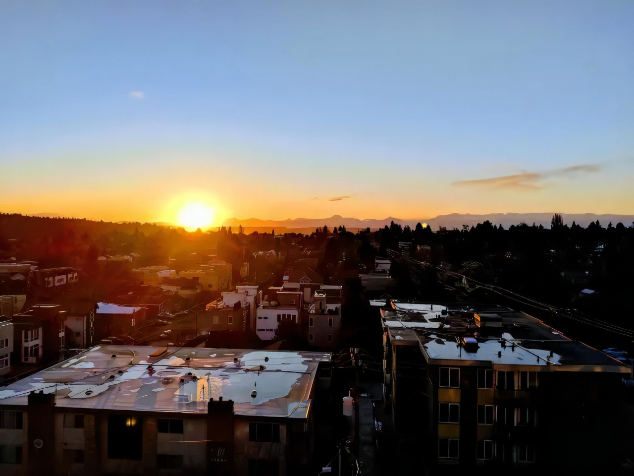 Ballard Public Image 21