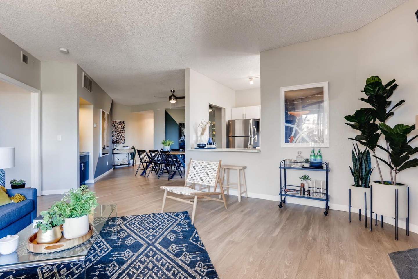 Alta Springs Image 17
