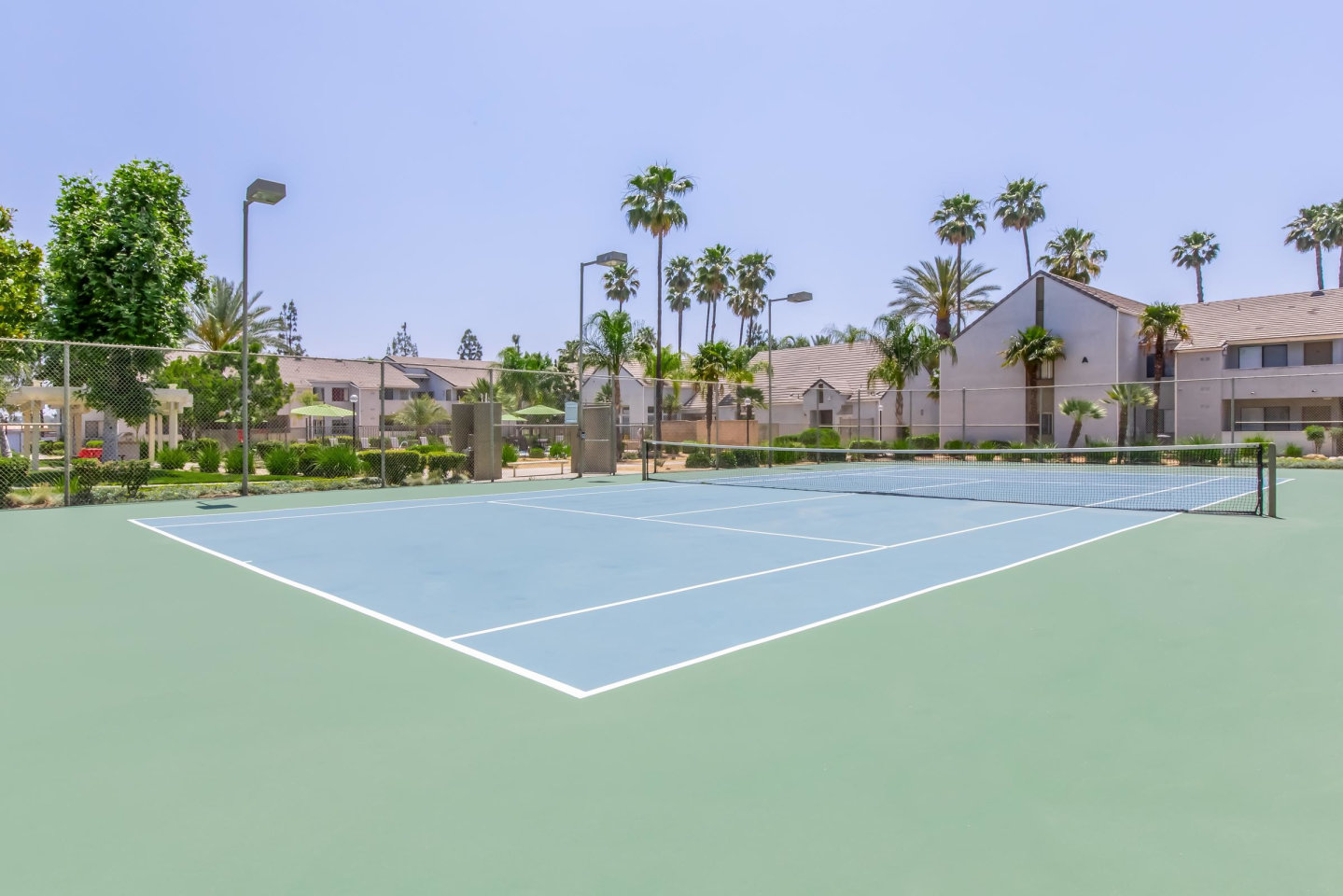 Palm Court Apartment Homes Image 6