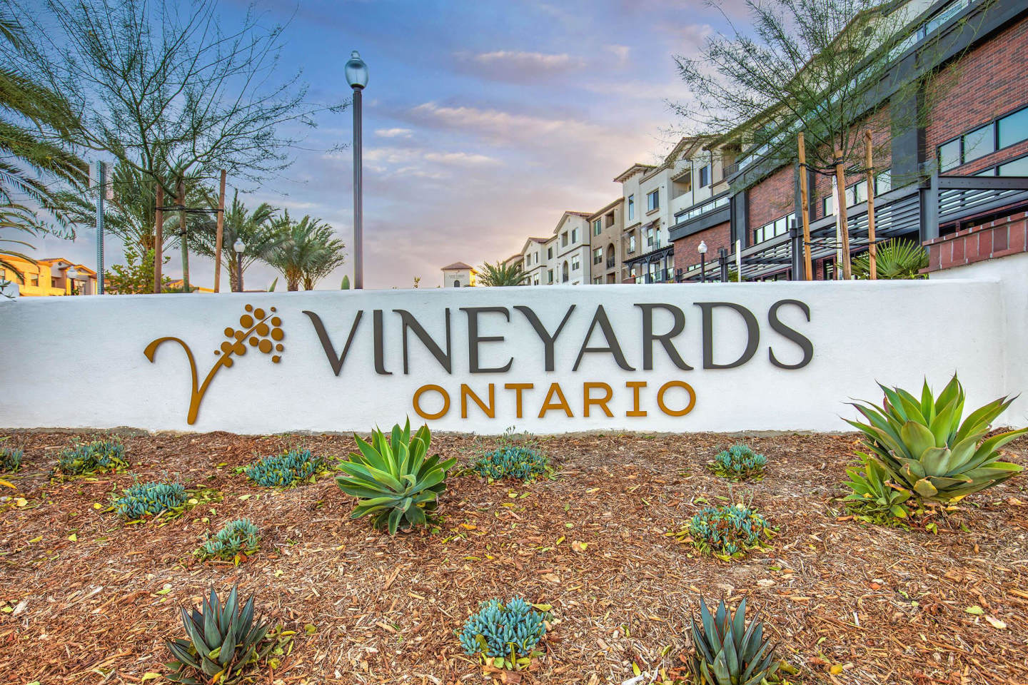 Vineyards Image 99