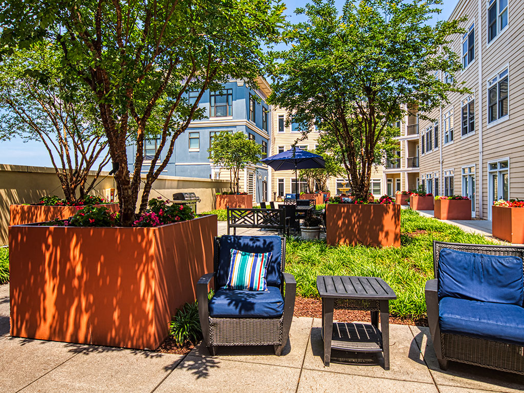 The Chapman at Peninsula Town Center Image 35