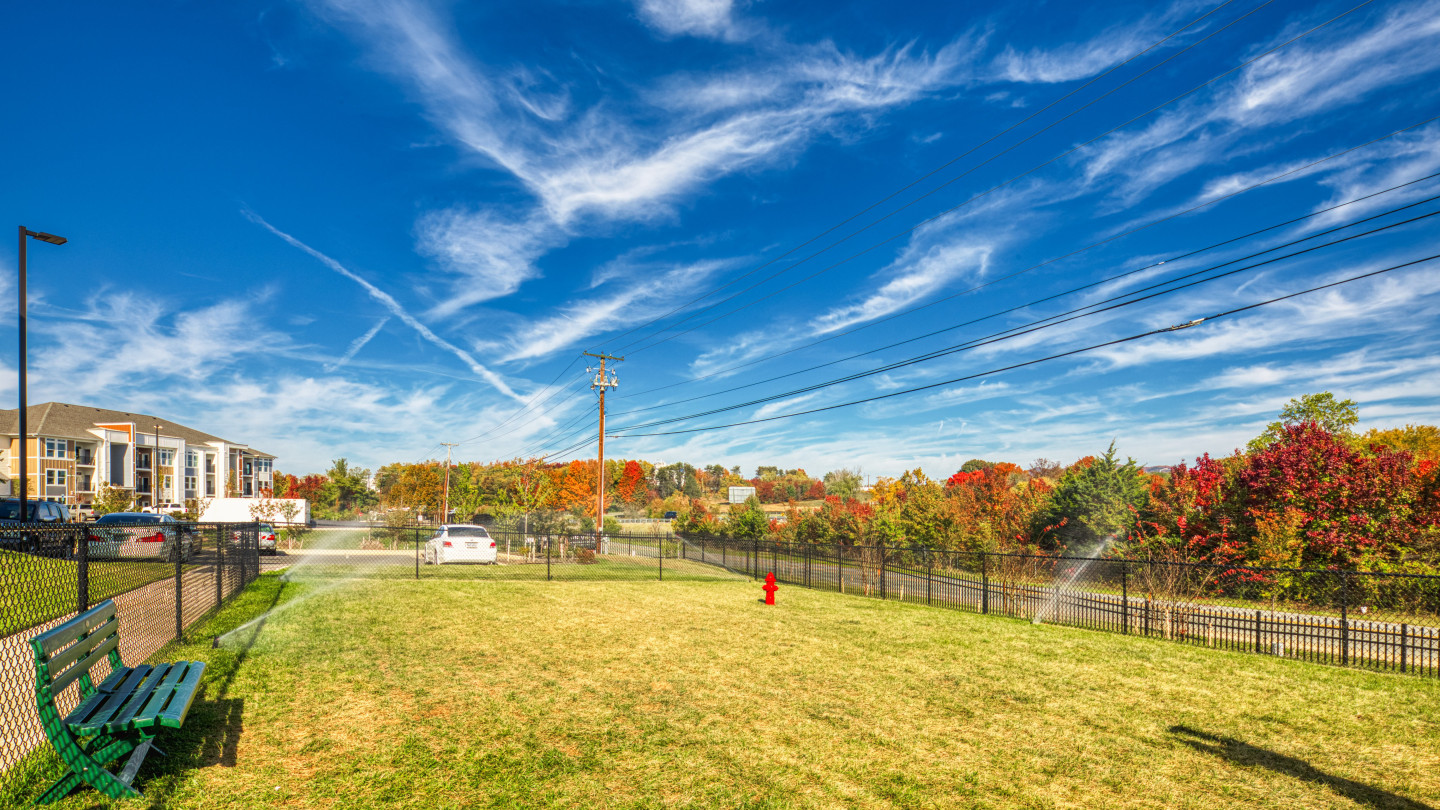 The View at Blue Ridge Commons Image 4