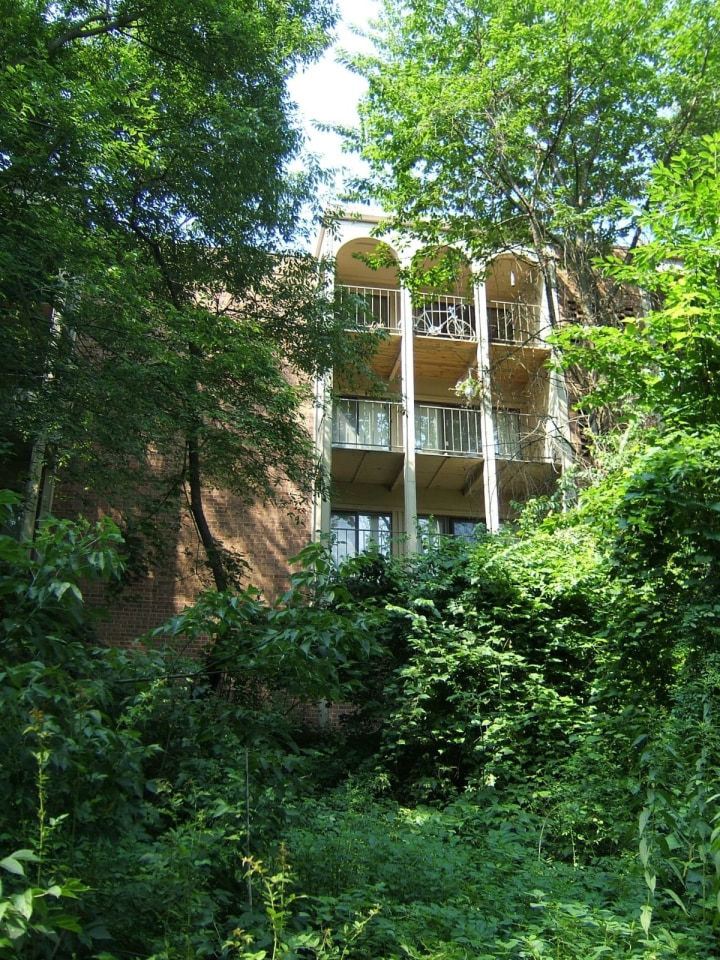 Willow Creek Apartments Image 33