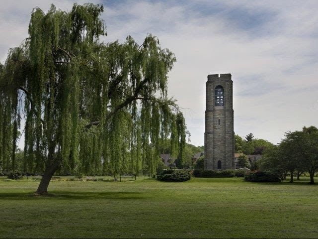 Vista View Image 23