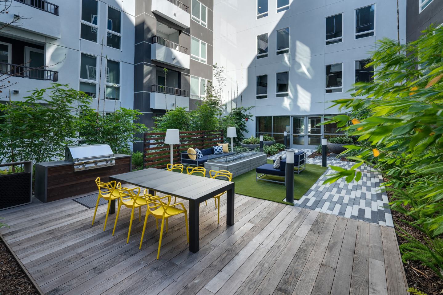 The Harlowe Image 22