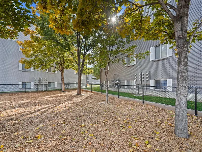 Preston Hollow Image 17