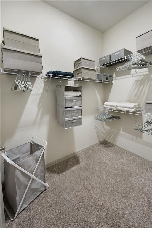 Terrabella Coastal Apartments Image 7