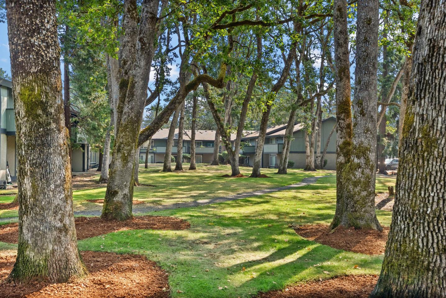 Timbre Apartments Image 19