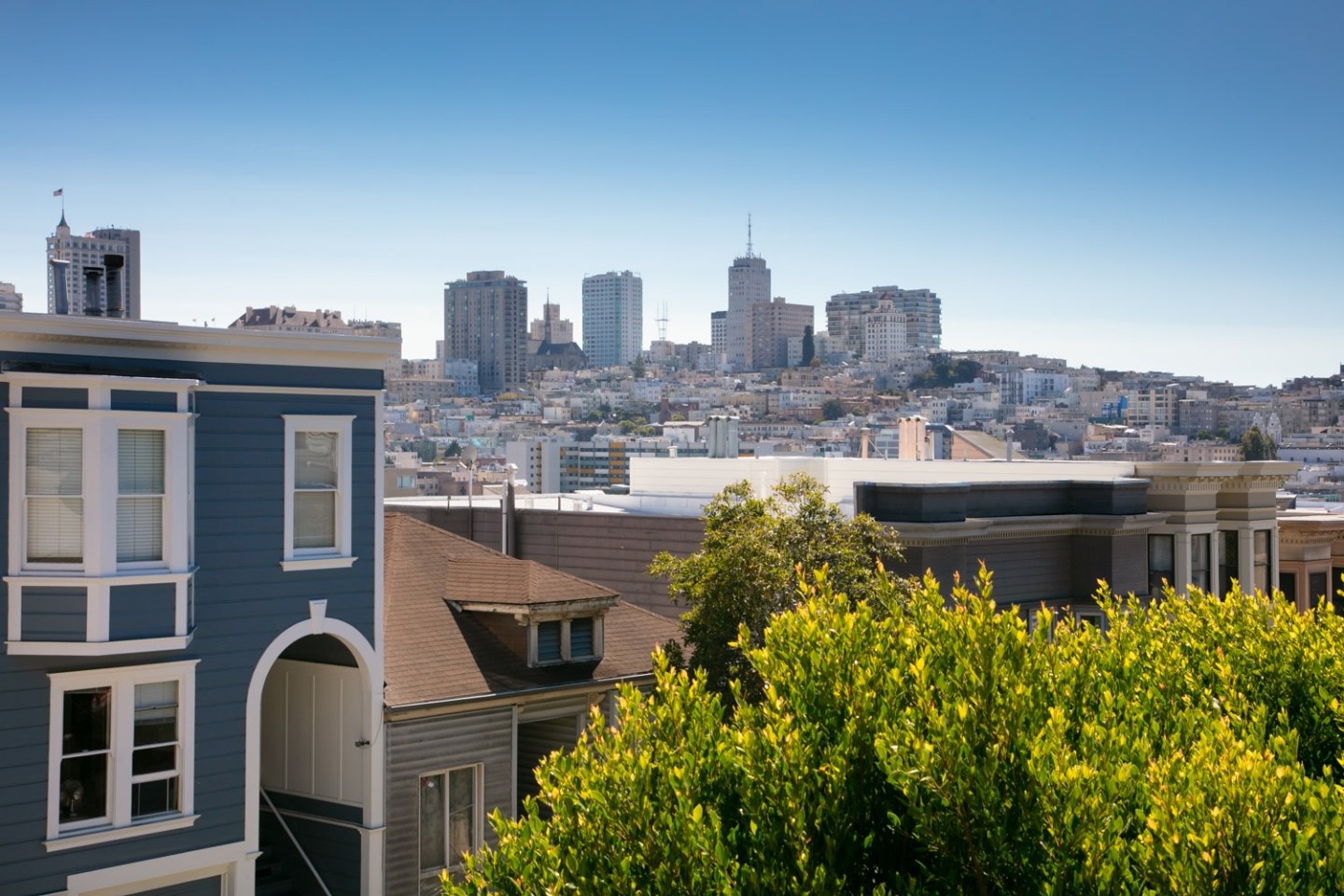 Telegraph Hill Image 29