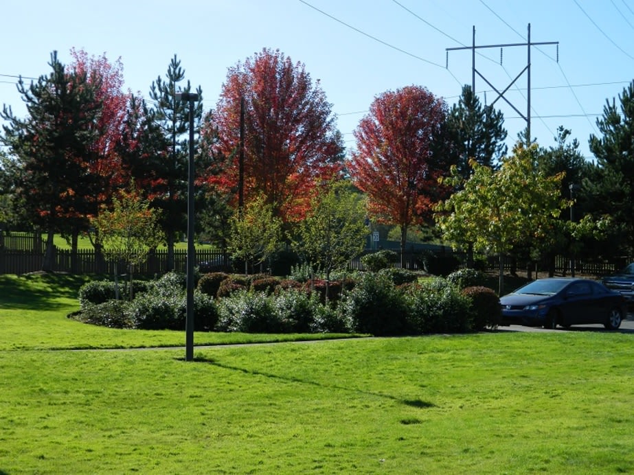 Springwater Trail Image 1