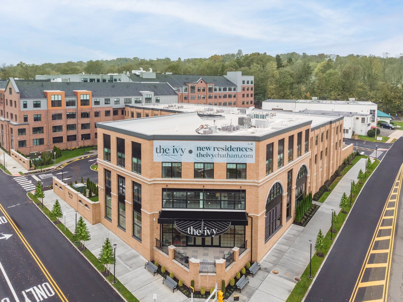 The Ivy Image 2