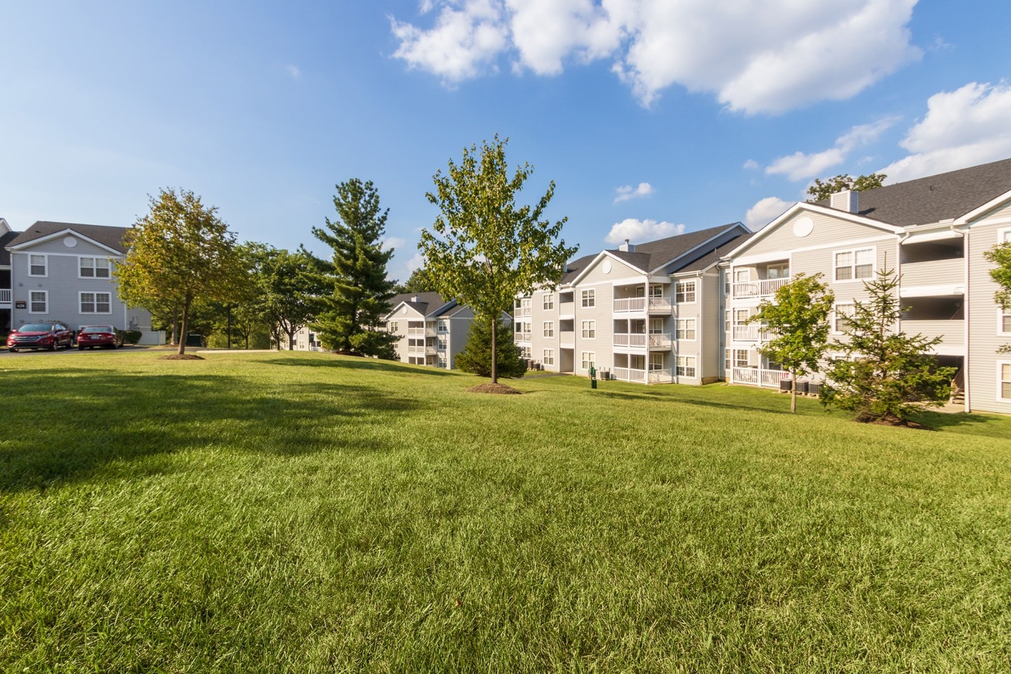 The Trails of Saddlebrook Image 86