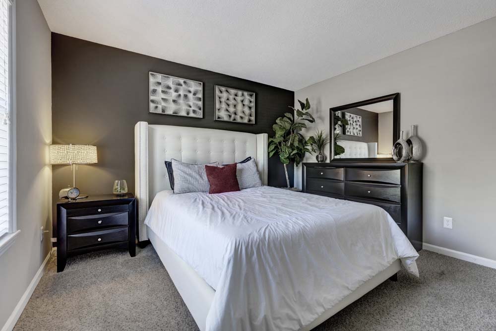 Harlowe Apartments Image 6