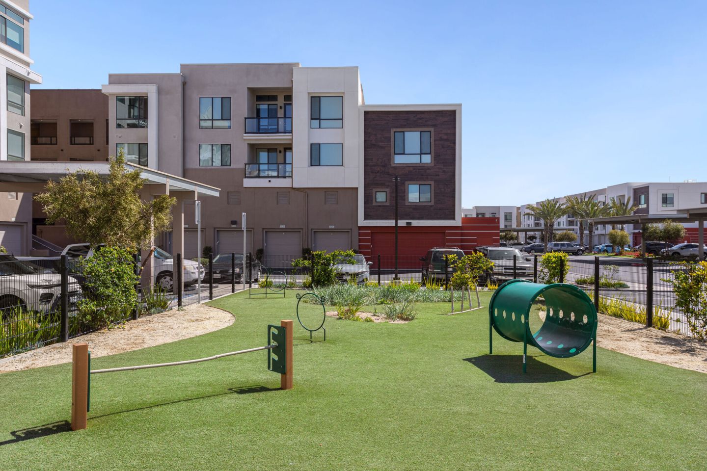 The Avalyn Image 56