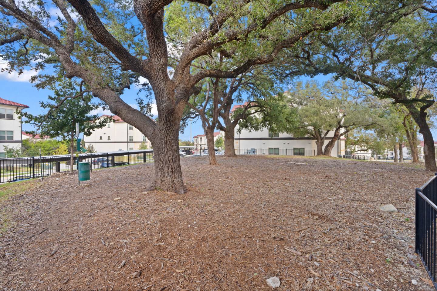 Water Oak Image 55
