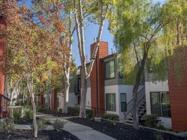 Eclipse 96 Apartments Image 10
