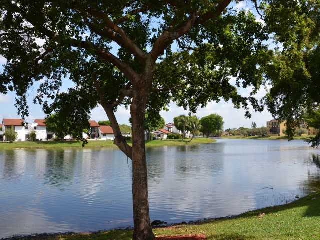 Lago Club Apartments Image 6