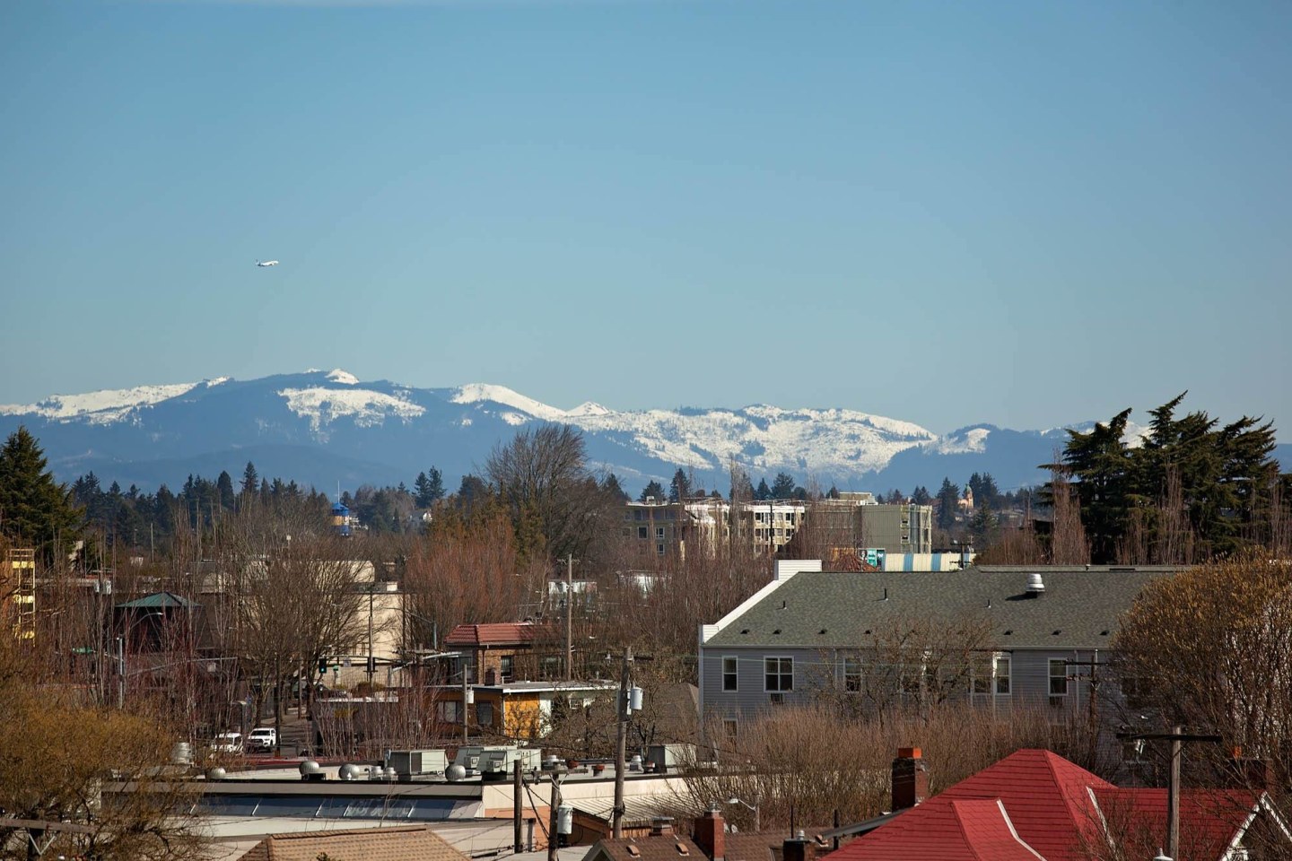 Tempo PDX Image 43