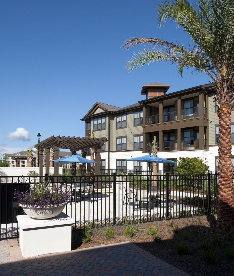 White Palm Image 28