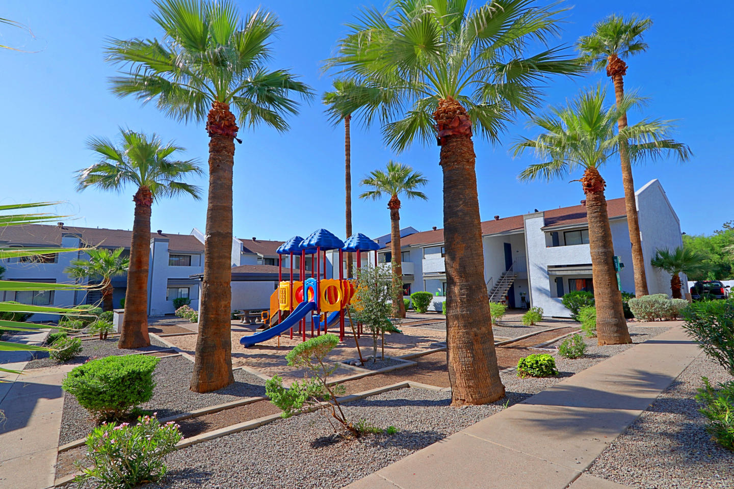 The Coronado (Palms on Monte Vista) Image 21