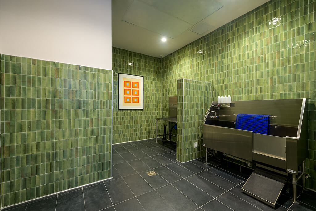 Coasterra Apartments Image 26