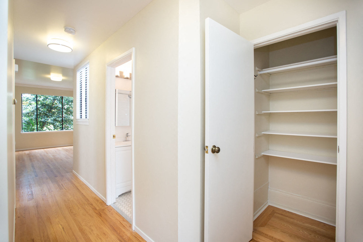 295 Castro Image 16