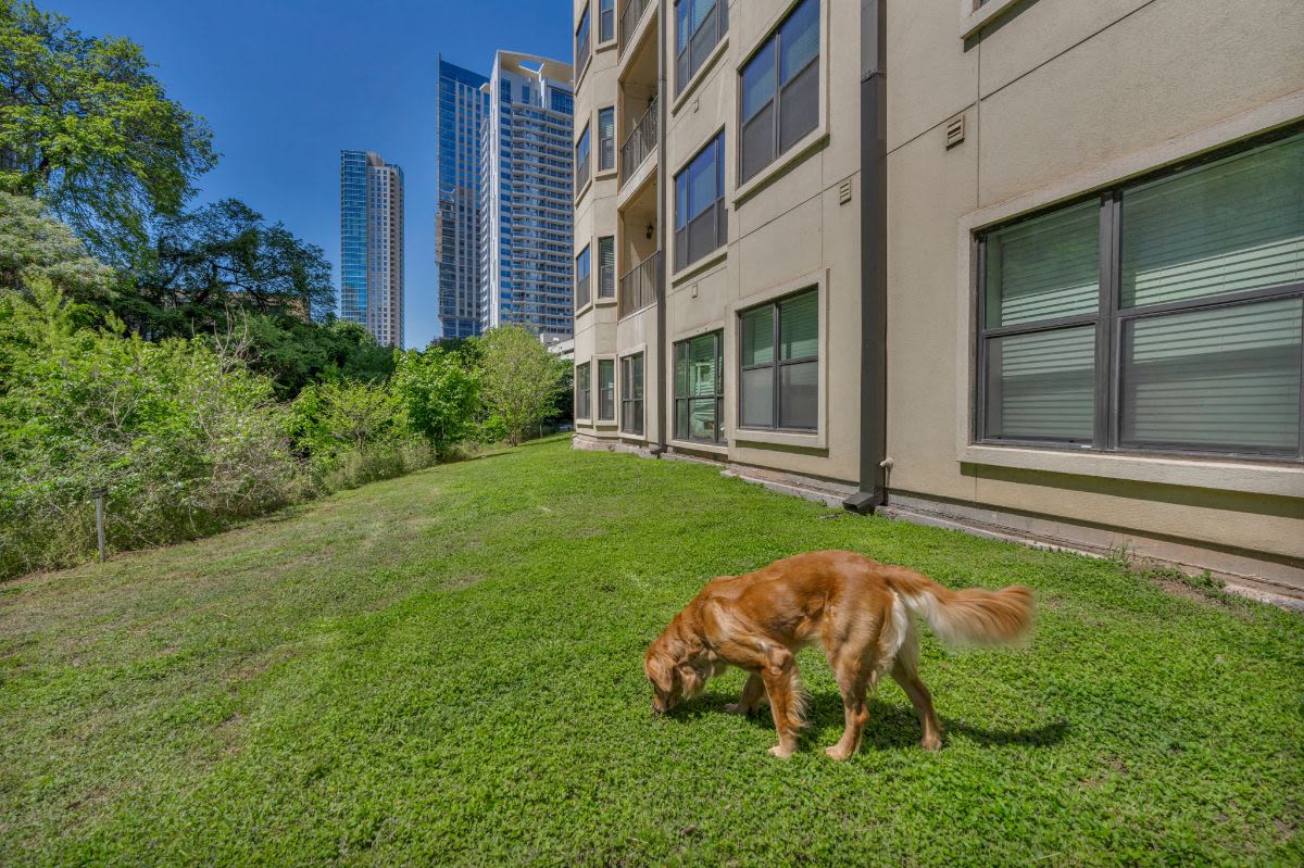 404 Rio Grande Image 63