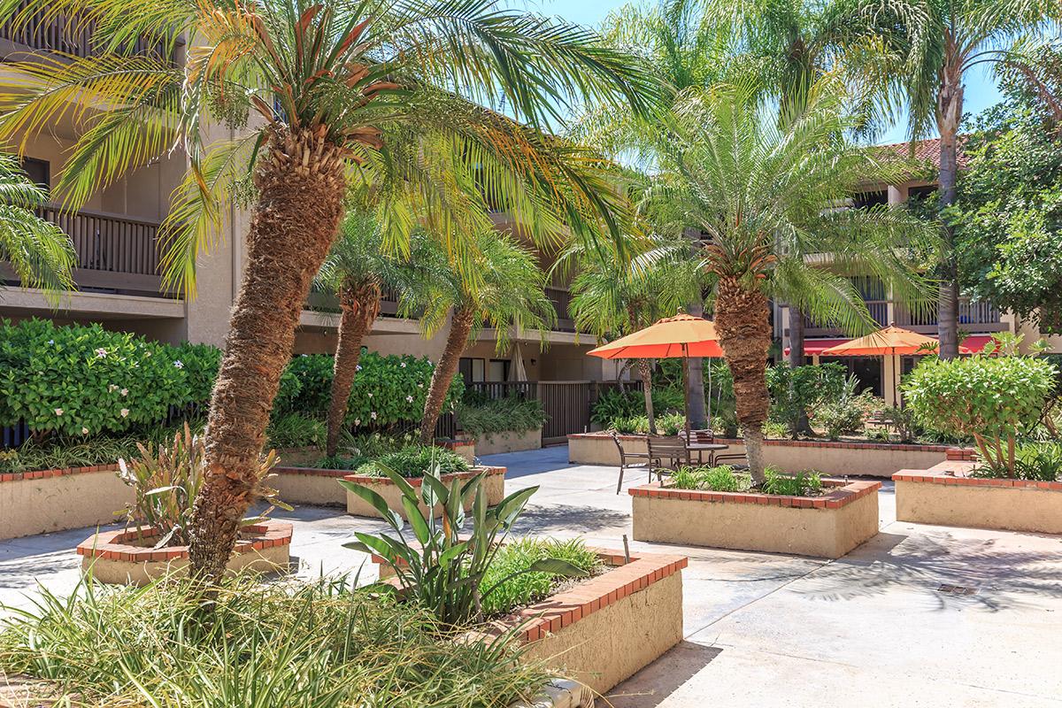 Acaciawood Village - Senior Living Image 7