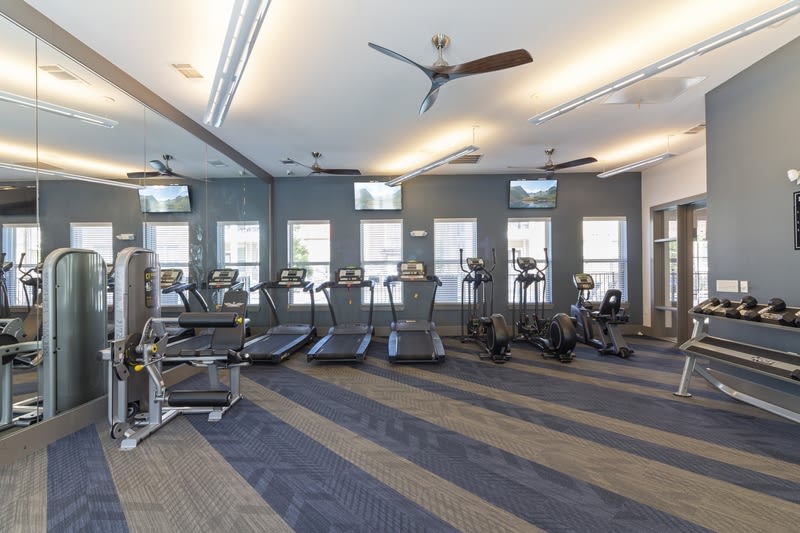 McKinney Pointe Image 3