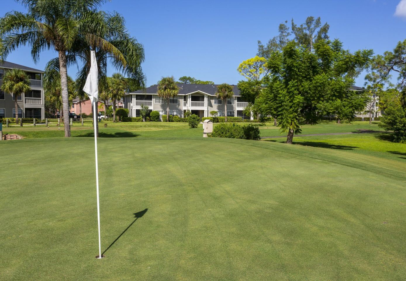 Belvedere at Quail Run Image 22
