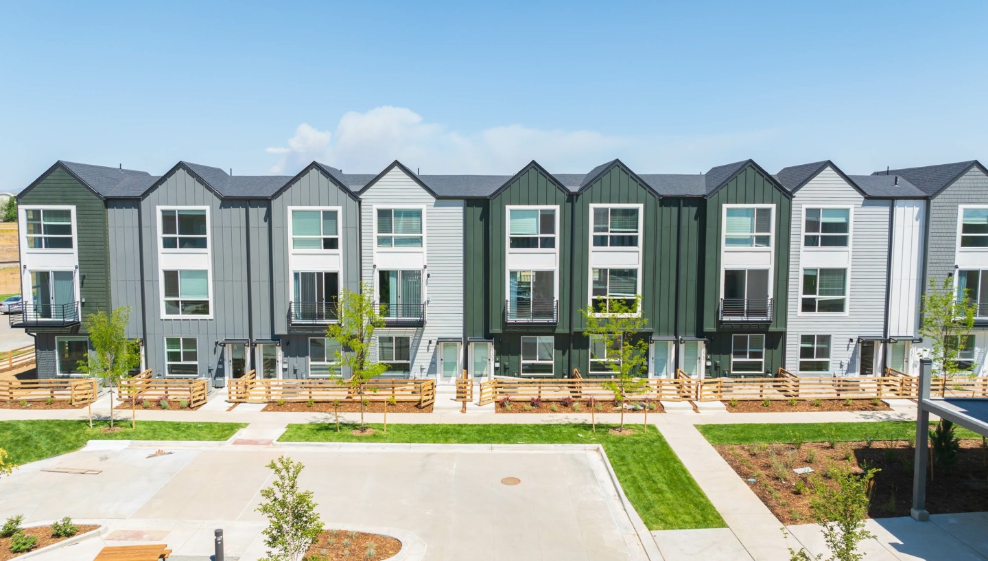 Lupine Longmont Image 3