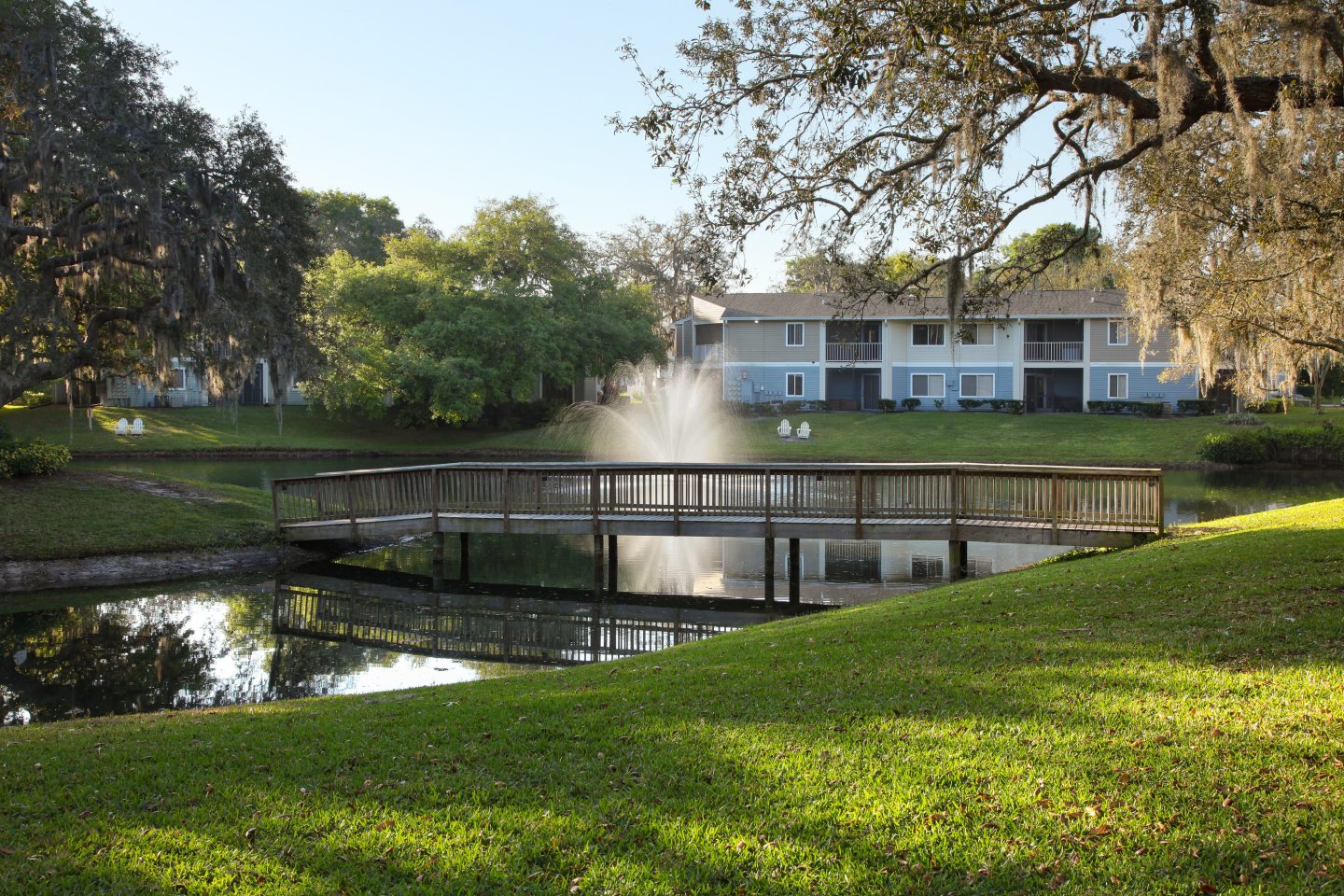 Agora at Port Richey Image 17